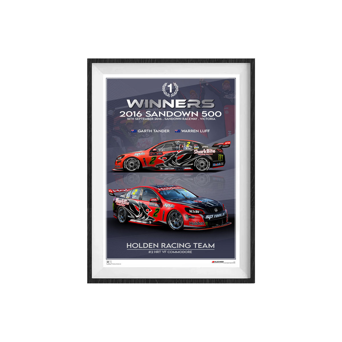 HRT 2016 Sandown Winner Unframed Print