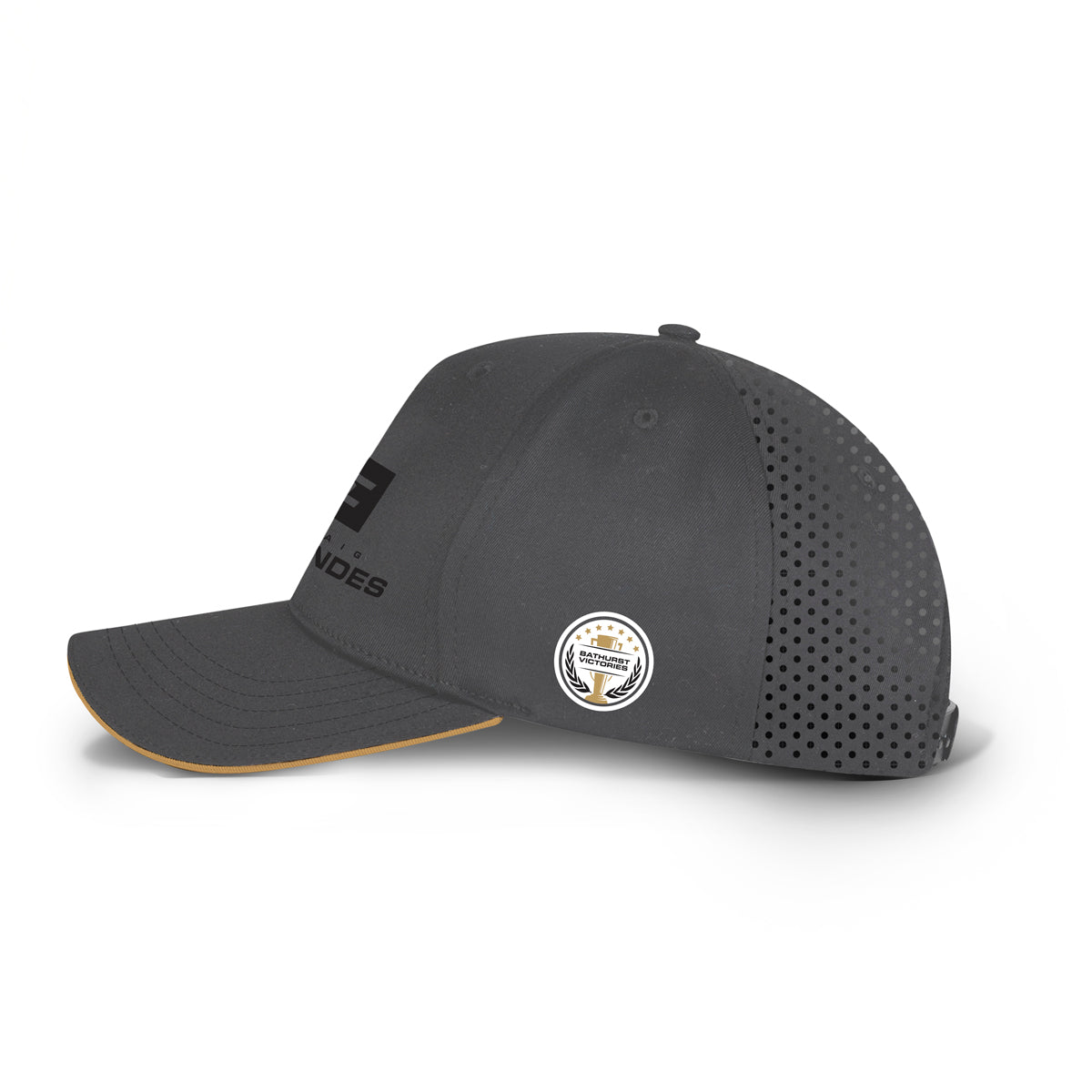 Craig Lowndes Cap Grey